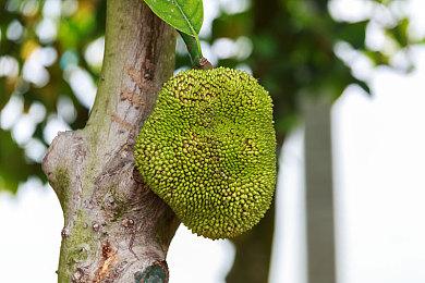 《仙剑奇侠传7》开启同人故事创作比赛 或为DLC做准备